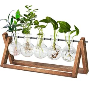 cfmour plant terrarium with wooden stand, desktop propagation stations glass air planter metal swivel holder for indoor live hydroponics plants office home garden decor (5 bulb vase)