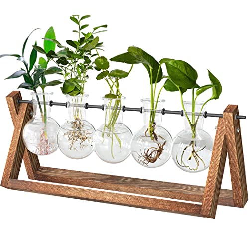 CFMOUR Plant Terrarium with Wooden Stand, Desktop Propagation Stations Glass Air Planter Metal Swivel Holder for Indoor Live Hydroponics Plants Office Home Garden Decor (5 Bulb Vase)