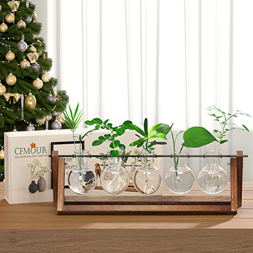 CFMOUR Plant Terrarium with Wooden Stand, Desktop Propagation Stations Glass Air Planter Metal Swivel Holder for Indoor Live Hydroponics Plants Office Home Garden Decor (5 Bulb Vase)