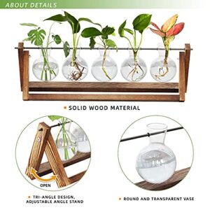 CFMOUR Plant Terrarium with Wooden Stand, Desktop Propagation Stations Glass Air Planter Metal Swivel Holder for Indoor Live Hydroponics Plants Office Home Garden Decor (5 Bulb Vase)