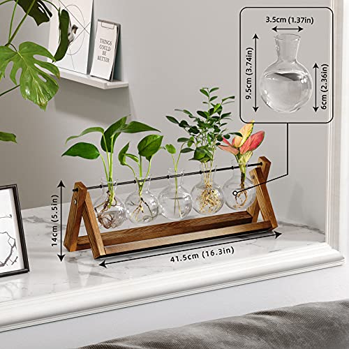 CFMOUR Plant Terrarium with Wooden Stand, Desktop Propagation Stations Glass Air Planter Metal Swivel Holder for Indoor Live Hydroponics Plants Office Home Garden Decor (5 Bulb Vase)