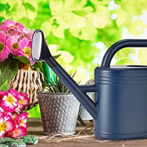 Watering Can 1 Gallon for Indoor Plants, Garden Watering Cans Outdoor Plant House Flower, Gallon Watering Can Large Long Spout with Sprinkler Head (Grey)