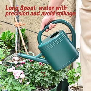 Watering Can 1 Gallon for Indoor Plants, Garden Watering Cans Outdoor Plant House Flower, Gallon Watering Can Large Long Spout with Sprinkler Head (Grey)