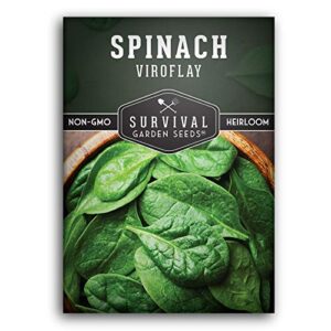 survival garden seeds – viroflay spinach seed for planting – packet with instructions to plant and grow nutritious leafy greens in your home vegetable garden – non-gmo heirloom variety – 1 pack