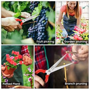 Sunuly Extra Long Pruning Shears, Gardening Hand Pruners with Stainless Steel Blades, Garden scissors for Arranging Flowers, Trimming Plants, Harvesting Herbs, Fruits or Vegetables, 9.5IN