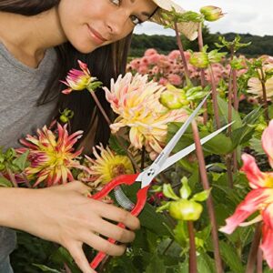 Sunuly Extra Long Pruning Shears, Gardening Hand Pruners with Stainless Steel Blades, Garden scissors for Arranging Flowers, Trimming Plants, Harvesting Herbs, Fruits or Vegetables, 9.5IN