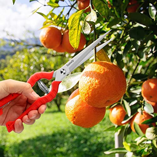 Sunuly Extra Long Pruning Shears, Gardening Hand Pruners with Stainless Steel Blades, Garden scissors for Arranging Flowers, Trimming Plants, Harvesting Herbs, Fruits or Vegetables, 9.5IN