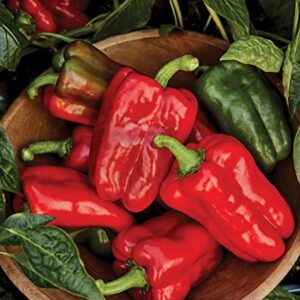 Burpee Great Stuff Sweet Pepper Seeds 40 seeds