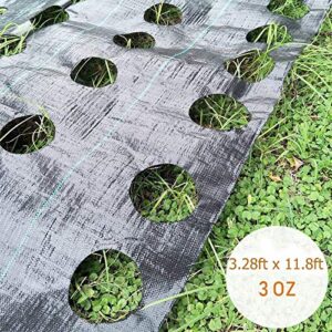 WDDH Garden Weed Barrier Landscape Fabric with 3'' Planting Holes, 3.3 Ft X 11.8 Ft Heavy-Duty Weed Block Gardening Mat Soil Erosion Control and UV Stabilized