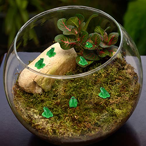 Yardwe 20pcs Resin Mini Frogs Realistic Frog Miniature Figurines Animals Model Cupcake Toppers DIY Crafts Fairy Garden Moss Landscape Terrarium Ornament Accessories