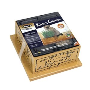 smartcat 3844 kitty’s garden edible grass planter 6.8 x 6.2 x 3 inches