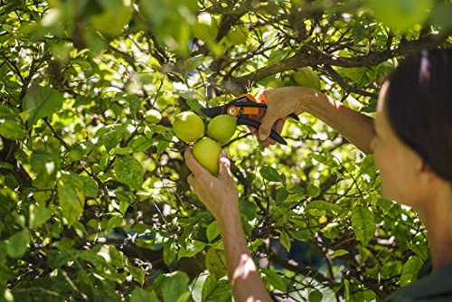 Fiskars SmartFit Pruner Bypass P68, Cutting Diameter Adjustable Up to 2.4 cm, Steel Blades with Non-stick Coating/Fiberglass ReinForced Plastic Handles, Length:20 cm, Black/Orange, 1001424