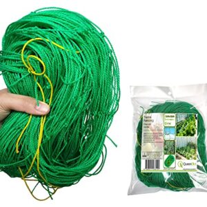 QueenBird Trellis Netting - Heavy Duty Garden Trellis Netting for Climbing Plants - 5.9 Feet X 32.8 Feet -Very Strong Support for Vegetables, Clematis, Cucumber,Tomatoes and Vine Plants