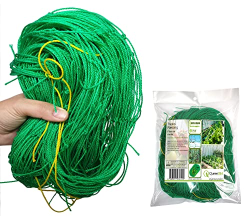 QueenBird Trellis Netting - Heavy Duty Garden Trellis Netting for Climbing Plants - 5.9 Feet X 32.8 Feet -Very Strong Support for Vegetables, Clematis, Cucumber,Tomatoes and Vine Plants