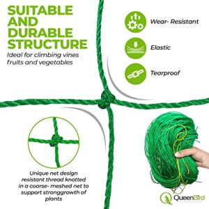 QueenBird Trellis Netting - Heavy Duty Garden Trellis Netting for Climbing Plants - 5.9 Feet X 32.8 Feet -Very Strong Support for Vegetables, Clematis, Cucumber,Tomatoes and Vine Plants