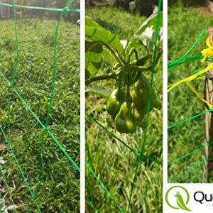 QueenBird Trellis Netting - Heavy Duty Garden Trellis Netting for Climbing Plants - 5.9 Feet X 32.8 Feet -Very Strong Support for Vegetables, Clematis, Cucumber,Tomatoes and Vine Plants