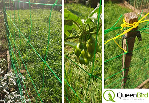 QueenBird Trellis Netting - Heavy Duty Garden Trellis Netting for Climbing Plants - 5.9 Feet X 32.8 Feet -Very Strong Support for Vegetables, Clematis, Cucumber,Tomatoes and Vine Plants