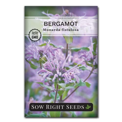 Sow Right Seeds - Mint Garden Seed Collection - Peppermint, Mint, Bergamot, Horsemint, and Lemon Balm - Non-GMO Heirloom Seeds with Instructions for Planting Indoors or Outdoors - Great Gardening Gift