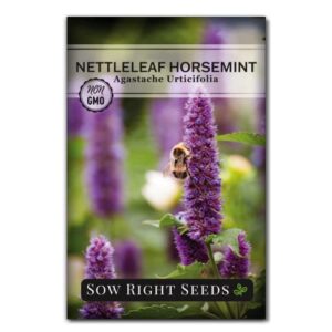 Sow Right Seeds - Mint Garden Seed Collection - Peppermint, Mint, Bergamot, Horsemint, and Lemon Balm - Non-GMO Heirloom Seeds with Instructions for Planting Indoors or Outdoors - Great Gardening Gift