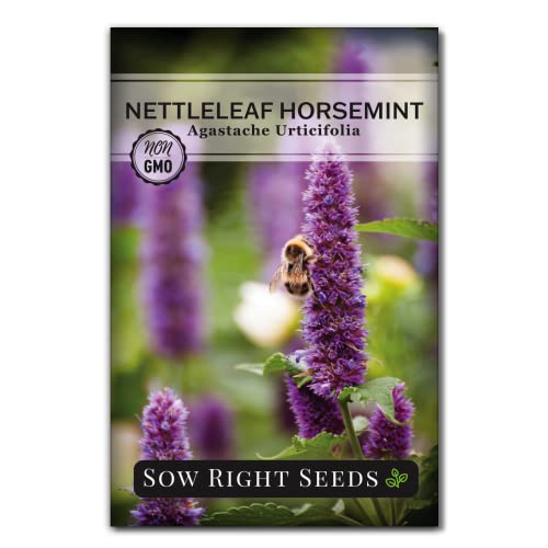 Sow Right Seeds - Mint Garden Seed Collection - Peppermint, Mint, Bergamot, Horsemint, and Lemon Balm - Non-GMO Heirloom Seeds with Instructions for Planting Indoors or Outdoors - Great Gardening Gift