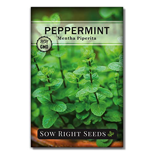 Sow Right Seeds - Mint Garden Seed Collection - Peppermint, Mint, Bergamot, Horsemint, and Lemon Balm - Non-GMO Heirloom Seeds with Instructions for Planting Indoors or Outdoors - Great Gardening Gift