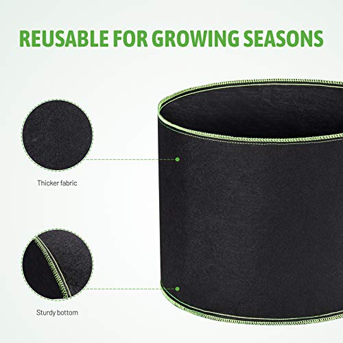 Delxo Garden Grow Bags 1 Gallon 10 Pack Plant Growing Bags Small Fabric Pots for Planting, Vegetable
