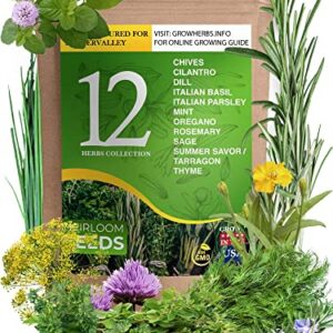 12 Heirloom Culinary and Medicinal Herb Seeds for Planting - Non GMO, and USA Grown - Variety Pack for Indoor, Outdoor and Hydroponic Garden - Сhives, Cilantro, Dill, Italian Parsley, Basil, and More