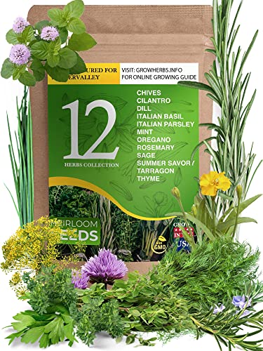 12 Heirloom Culinary and Medicinal Herb Seeds for Planting - Non GMO, and USA Grown - Variety Pack for Indoor, Outdoor and Hydroponic Garden - Сhives, Cilantro, Dill, Italian Parsley, Basil, and More