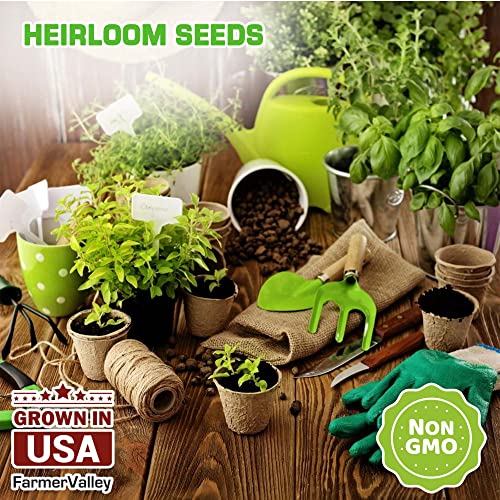 12 Heirloom Culinary and Medicinal Herb Seeds for Planting - Non GMO, and USA Grown - Variety Pack for Indoor, Outdoor and Hydroponic Garden - Сhives, Cilantro, Dill, Italian Parsley, Basil, and More