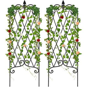 amagabeli 2 pack garden trellis for climbing plants 60″ x 18″ rustproof black iron potted vines vegetables vining flowers patio metal wire lattices grid panels for ivy roses cucumbers clematis gt04