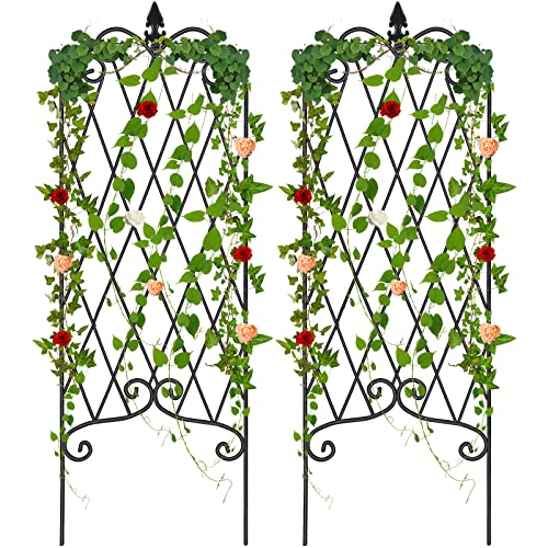 Amagabeli 2 Pack Garden Trellis for Climbing Plants 60" x 18" Rustproof Black Iron Potted Vines Vegetables Vining Flowers Patio Metal Wire Lattices Grid Panels for Ivy Roses Cucumbers Clematis GT04