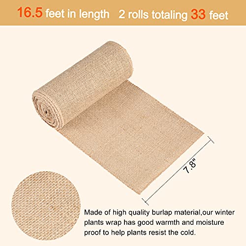 Natural Burlap Tree Wrap Burlap Rolls for Gardening Tree Trunk Wrap Fabric Tree Protector Burlap Wrap Plants Bandage for Keeping Warm and Moisturizing (2 Rolls,7.9 Inches Width)