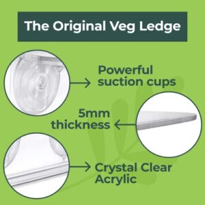 Window Garden Veg Ledge - Window Shelf for Plants, Clear Acrylic Shelves - Suction Cup Indoor Plant Holder - Glass Window Sill Extender for Microgreens Kit, Seed Starter Pots, Planters (1 Pack)