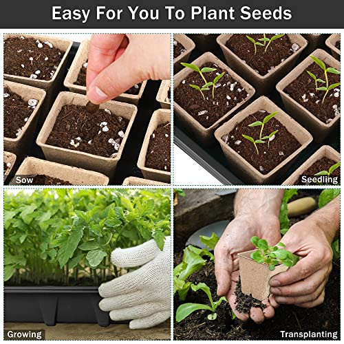 Hahood 6 Pack Seed Starter Tray Kit with 120 Square Peat Pots for Seedlings, Including Plants Labels, Planting Tools, Growing Trays Plastic Germination Tray Paper Starter Pods for Plant Seeds, Black