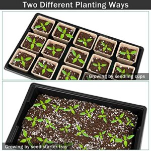 Hahood 6 Pack Seed Starter Tray Kit with 120 Square Peat Pots for Seedlings, Including Plants Labels, Planting Tools, Growing Trays Plastic Germination Tray Paper Starter Pods for Plant Seeds, Black