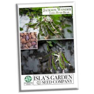 jackson wonder lima bush bean seeds for planting, 50+ heirloom seeds per packet, (isla’s garden seeds), non gmo seeds, botanical name: phaseolus lunatus, great home garden gift