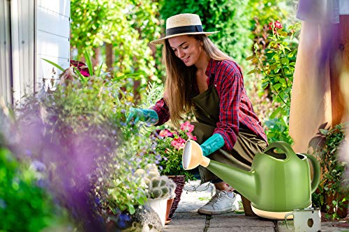 NOBONDO Watering Can 1 Gallon with Sprinkler Head, Plant Watering Can Long Stem Spout for House Indoor Plant Outdoor Flower Decorative Modern Garden Pot (4L, Green)