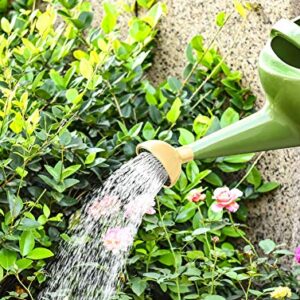 NOBONDO Watering Can 1 Gallon with Sprinkler Head, Plant Watering Can Long Stem Spout for House Indoor Plant Outdoor Flower Decorative Modern Garden Pot (4L, Green)