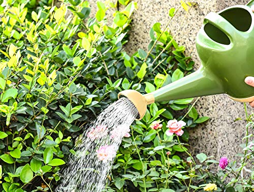 NOBONDO Watering Can 1 Gallon with Sprinkler Head, Plant Watering Can Long Stem Spout for House Indoor Plant Outdoor Flower Decorative Modern Garden Pot (4L, Green)