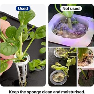 iDOO Hydroponics Garden Kit with 50pcs Plant Labels, 102pcs Seed Pot Stickers, 6pcs Cactus Covers