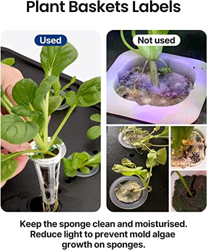 iDOO Hydroponics Garden Kit with 50pcs Plant Labels, 102pcs Seed Pot Stickers, 6pcs Cactus Covers