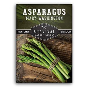 Survival Garden Seeds - Mary Washington Asparagus Seed for Planting - Packet with Instructions to Plant and Grow Long Lasting Perennials in Your Home Vegetable Garden - Non-GMO Heirloom Variety