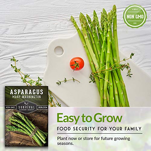 Survival Garden Seeds - Mary Washington Asparagus Seed for Planting - Packet with Instructions to Plant and Grow Long Lasting Perennials in Your Home Vegetable Garden - Non-GMO Heirloom Variety