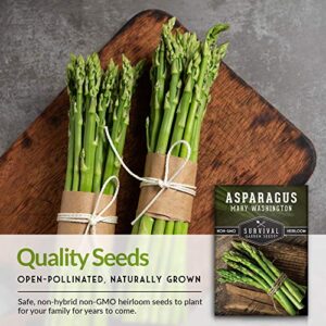 Survival Garden Seeds - Mary Washington Asparagus Seed for Planting - Packet with Instructions to Plant and Grow Long Lasting Perennials in Your Home Vegetable Garden - Non-GMO Heirloom Variety