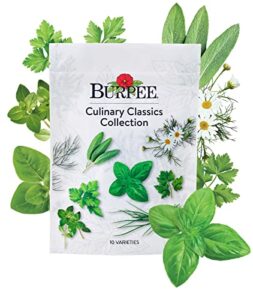 burpee culinary classics garden collection 10 packets of non-gmo chives, cilantro, basil, sage, thyme, dill, parsley, chamomile, marjoram & oregano | kitchen herb variety pack, seeds for planting