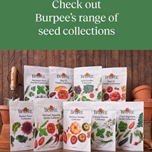 Burpee Culinary Classics Garden Collection 10 Packets of Non-GMO Chives, Cilantro, Basil, Sage, Thyme, Dill, Parsley, Chamomile, Marjoram & Oregano | Kitchen Herb Variety Pack, Seeds for Planting