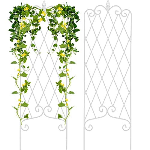 Amagabeli 2 Pack Garden Trellis for Climbing Plants 60" x 18" Rustproof Iron Potted Vines Vegetables Vining Flowers Patio Metal Wire Lattices Grid Panels for Ivy Roses Cucumbers Clematis White