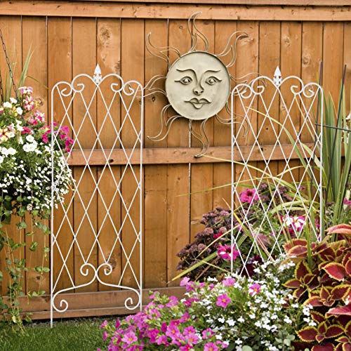 Amagabeli 2 Pack Garden Trellis for Climbing Plants 60" x 18" Rustproof Iron Potted Vines Vegetables Vining Flowers Patio Metal Wire Lattices Grid Panels for Ivy Roses Cucumbers Clematis White