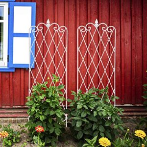 Amagabeli 2 Pack Garden Trellis for Climbing Plants 60" x 18" Rustproof Iron Potted Vines Vegetables Vining Flowers Patio Metal Wire Lattices Grid Panels for Ivy Roses Cucumbers Clematis White