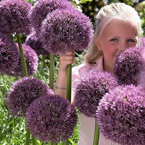 Complete Spring Flower Garden | 50 Fresh Bulbs | Bloom All Spring and Summer, Easy to Grow Flower Bulb, Indoor/Outdoor - Ships from Iowa, USA